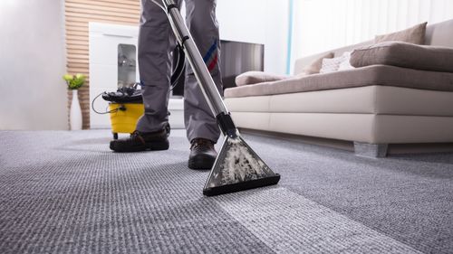 Carpet Cleaning